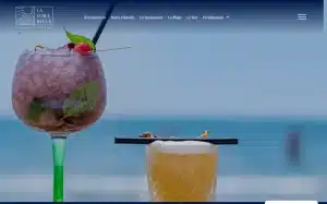 Site Web Montpellier - lavoilebleue.fr_ - _300px-resize