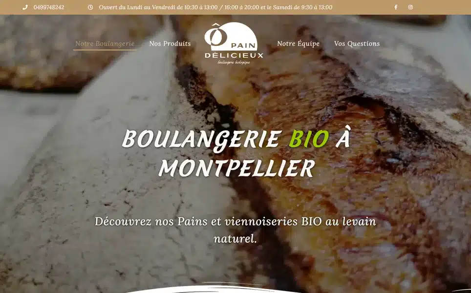 Réalisation web — Site Web Montpellier