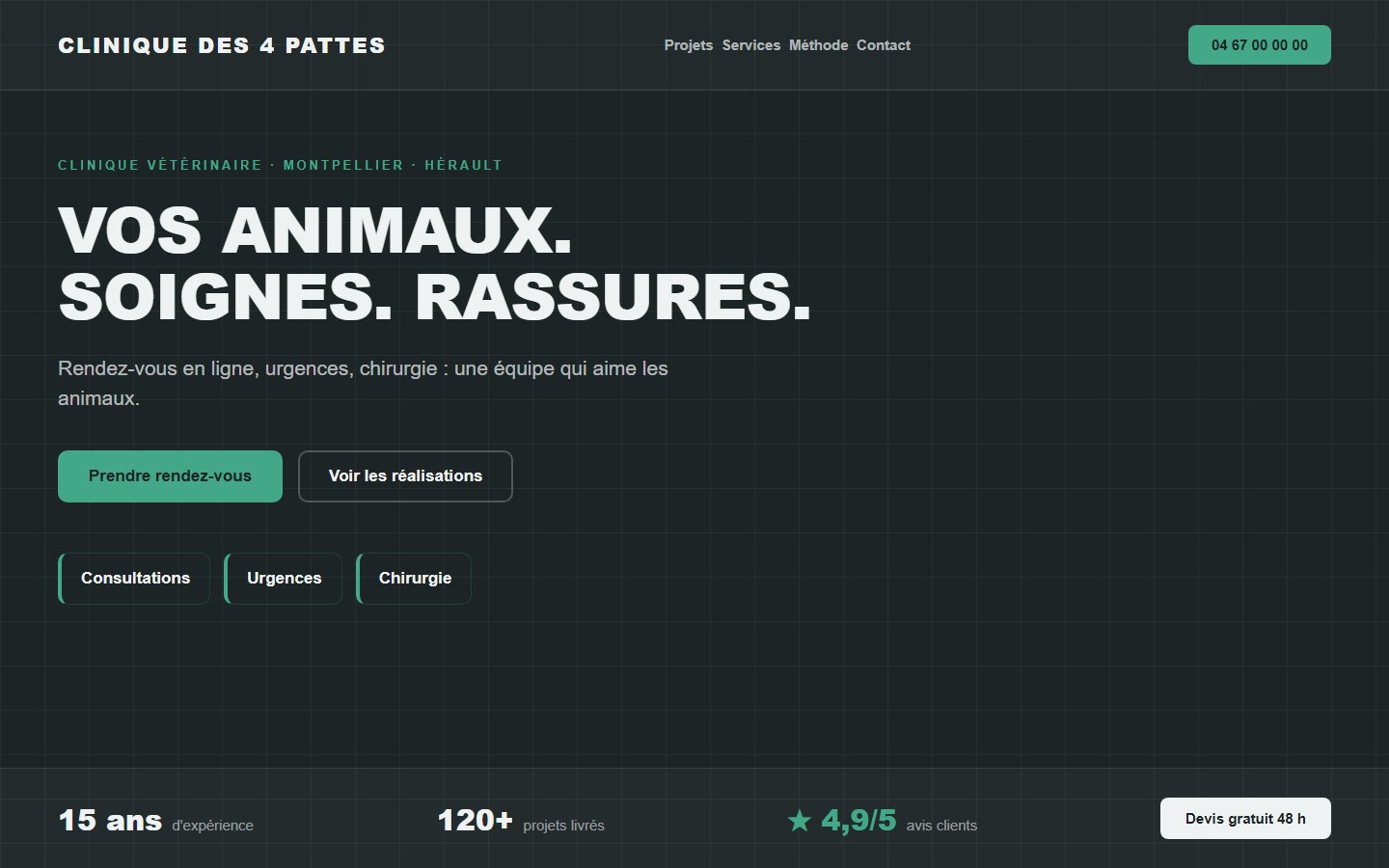 Site internet vétérinaire - exemple 1