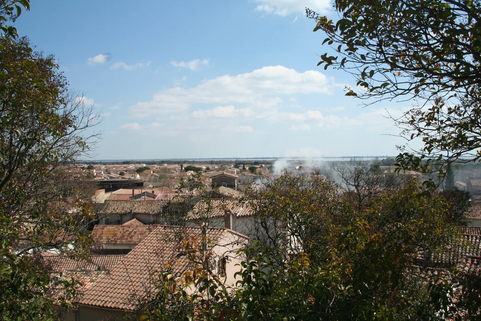 Création site internet Mauguio : vue générale du village de Mauguio vers l'étang de l'Or
