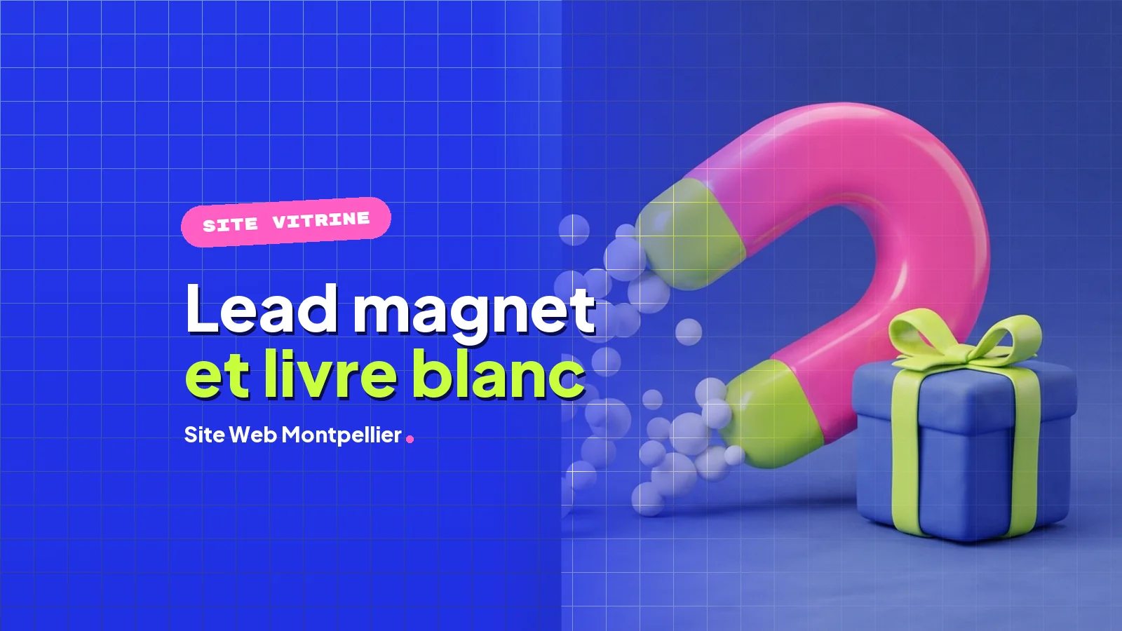 Lead Magnet et Livre Blanc : Générer des Leads B2B avec Votre Site Web