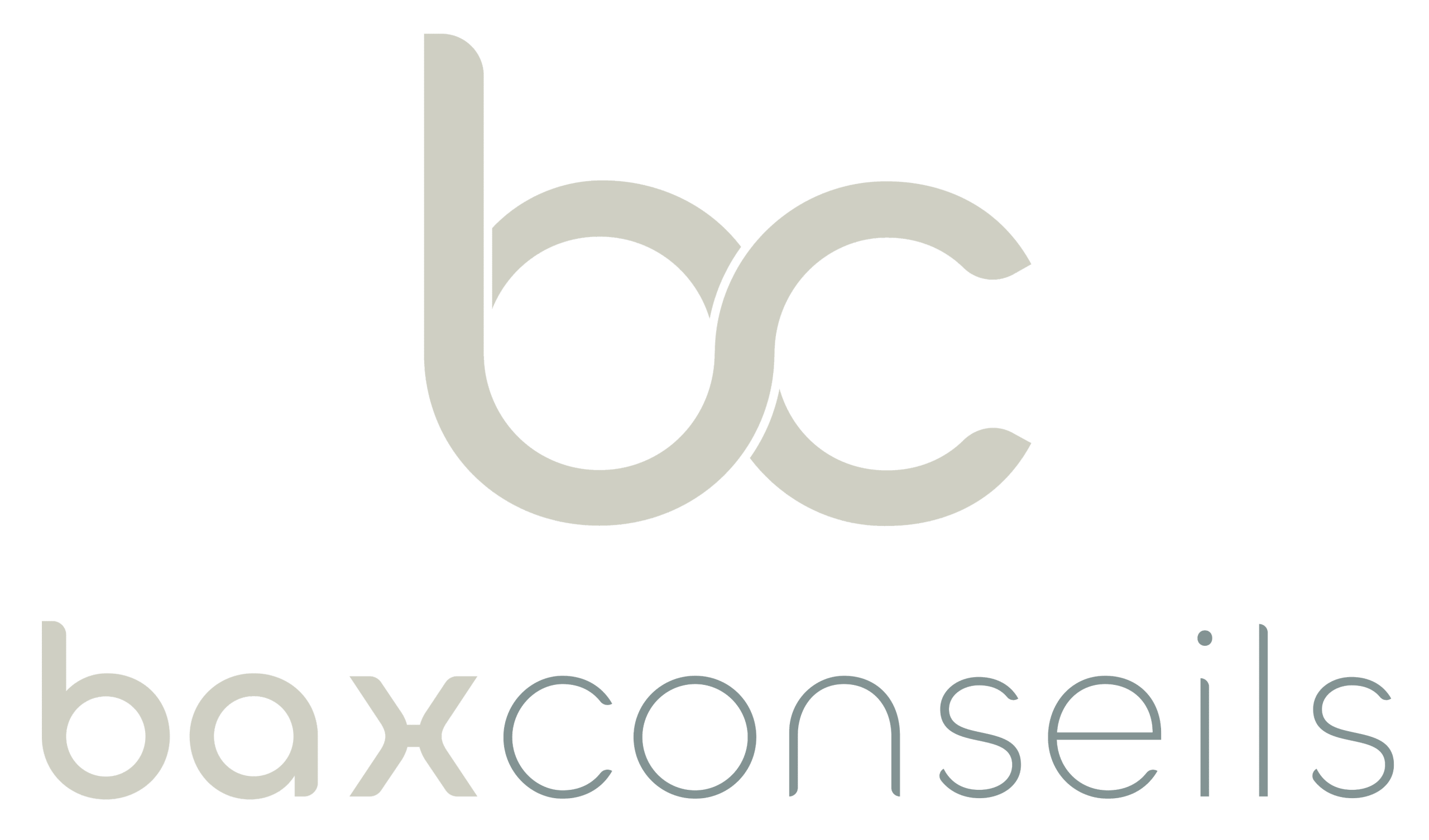 Bax Conseils